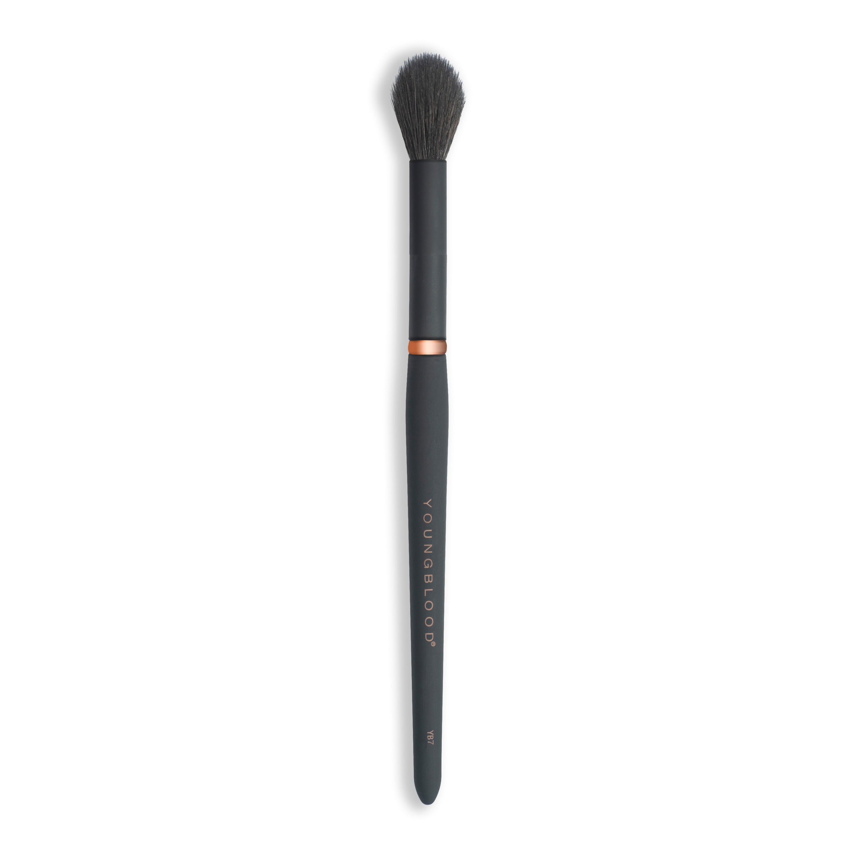 Youngblood YB7 Highlight Brush